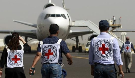 Red Cross warns of dengue fever epidemic in Yemen
