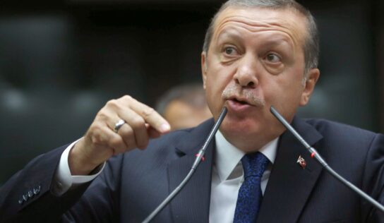 Erdogan staged a coup to silence his opposition