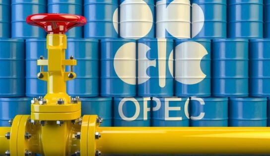 OPEC: Global Oil Demand to Recover