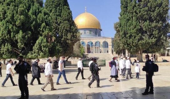 Settlers Storm Al-Aqsa Mosque under Occupation Forces Protection