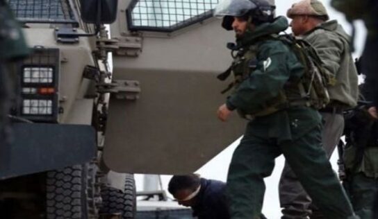 Twelve Palestinians arrested in the West Bank