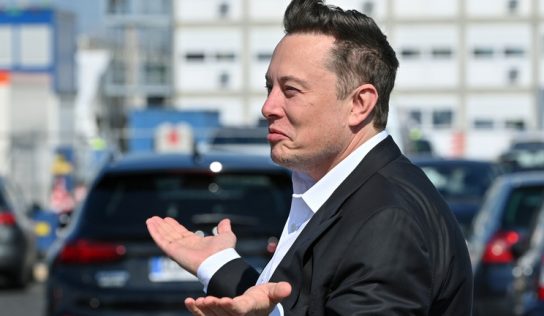 Twitter warms to Elon Musk – reports