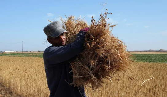 Impoverished Gaza Runs Out of Bread as Authorities Struggle to Find a Solution