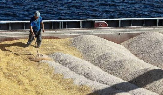 Four routes to export grain from Ukraine .. Safe passage of ships is necessary for shipping grain of Ukraine