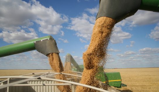 Russia to export agricultural products to ‘friendly countries’ only